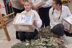 photo_2025-11-19_20-10-26